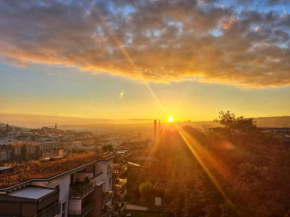 Ferienwohnung Goldstadtblick